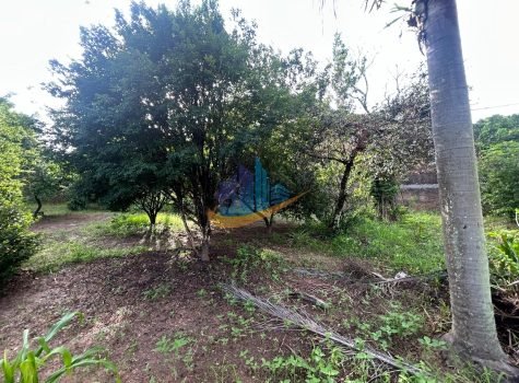 694da37e-dc79-4161-ad3c-e0a38dc37f11