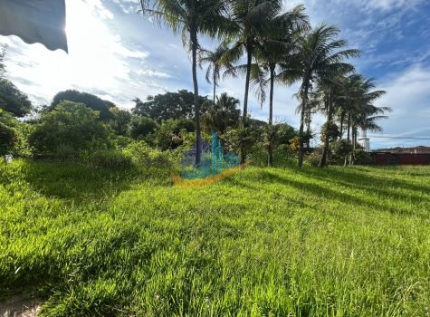 82e8be55-d637-41fa-893f-7387ddfdc19c