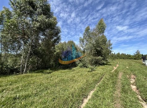 IMG_3858