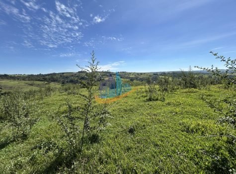 IMG_3869