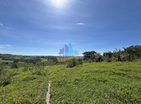 IMG_3871