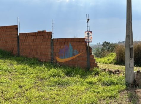 IMG_6670
