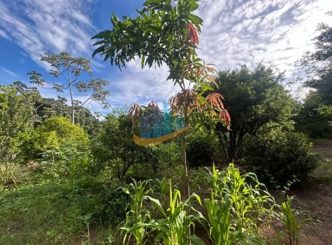 b3c87f54-4b1b-4f14-98b6-8794041d5cb1