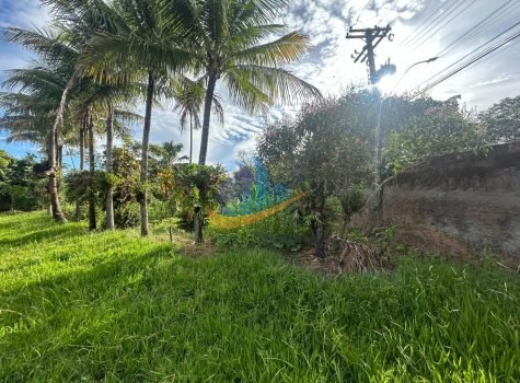 d52e15f1-f346-405a-b7d6-1ecf6d088c18