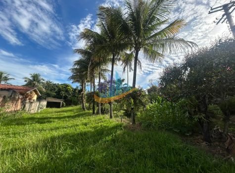 f1776c25-5e55-44e8-9829-a116694e5d02